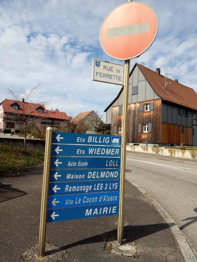 Le Cocon D'Alsace Hotel Folgensbourg Kültér fotó